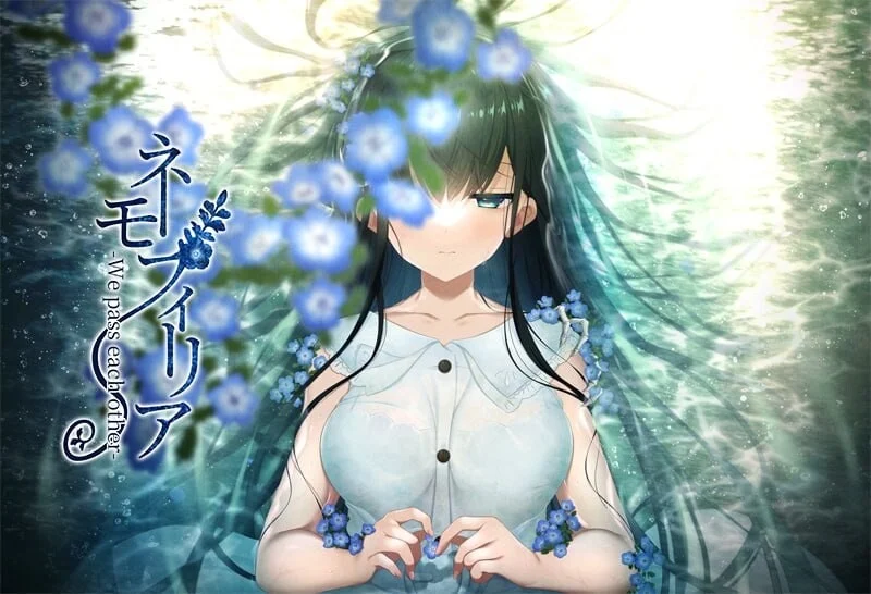 【电脑】勿忘草-我们擦肩而过-ネモフィリア -We pass each other-v1.30 AI汉化版+全CG存档【1.38G】-鸢空ACG